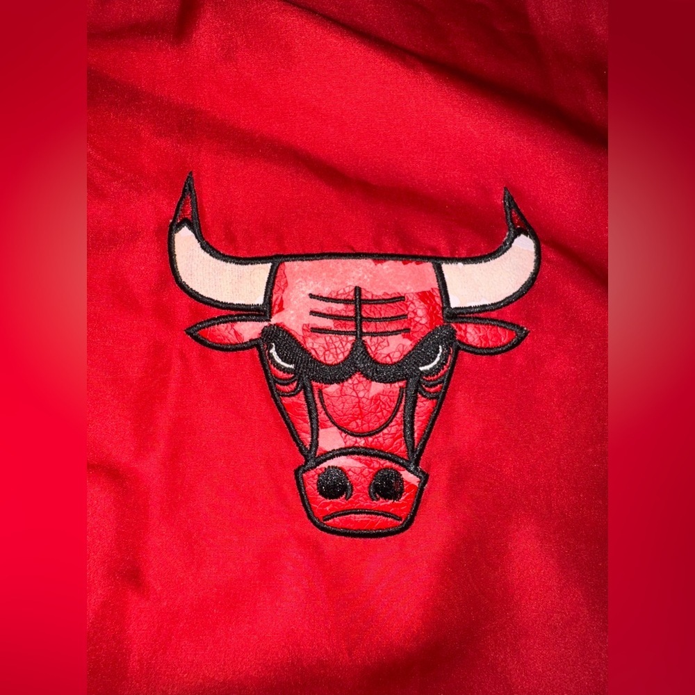 Reversible Chicago Bulls Jacket - Picture 5 of 16